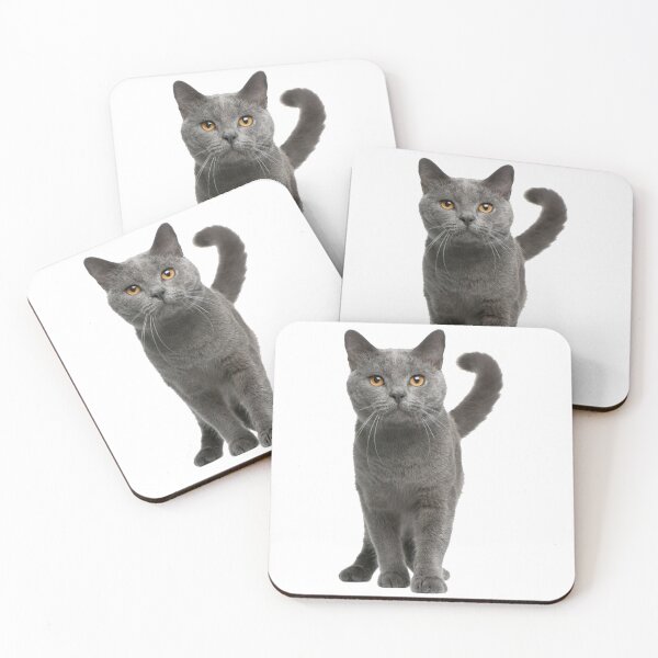 Item preview, Grey Cat designed and sold by DoodleDashCollective.