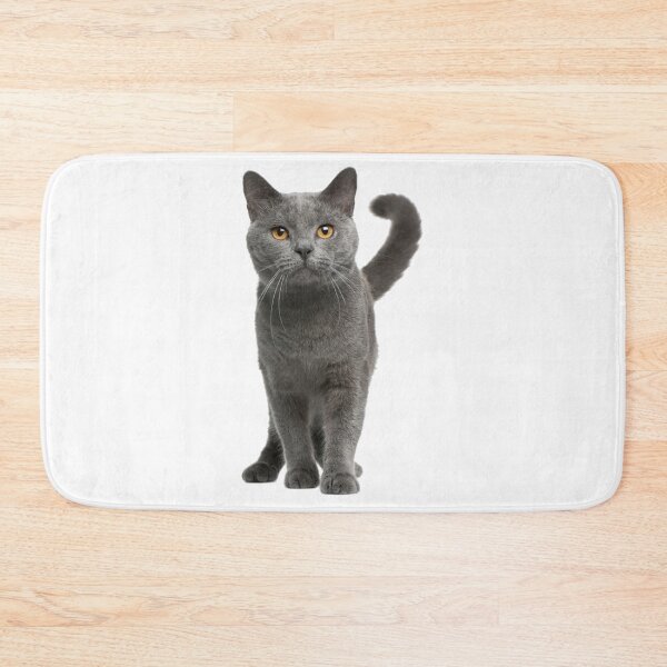 Item preview, Grey Cat designed and sold by DoodleDashCollective.