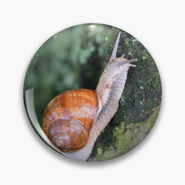 Item preview, Snail 1 designed and sold by CasparTheRiddle.