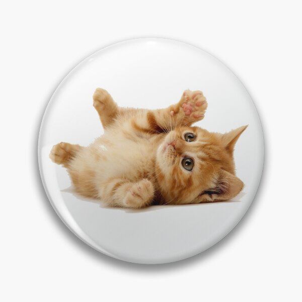 Item preview, Ginger Kitten designed and sold by DoodleDashCollective.