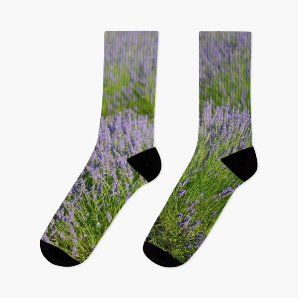 Item preview, lavender field 2 designed and sold by CasparTheRiddle.