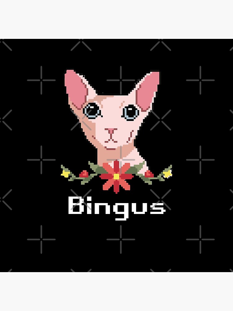 Bingus Cat Poster For Sale By Ashi17 Redbubble 8654