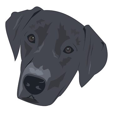 Vorschaubild zum Design Schwarzer Labrador von mlvonder02
