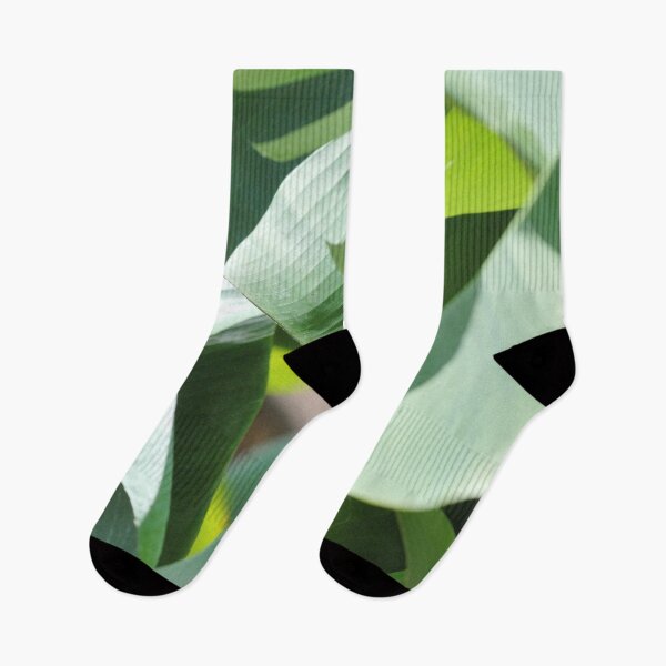 Item preview, Leaves Coroico designed and sold by CasparTheRiddle.