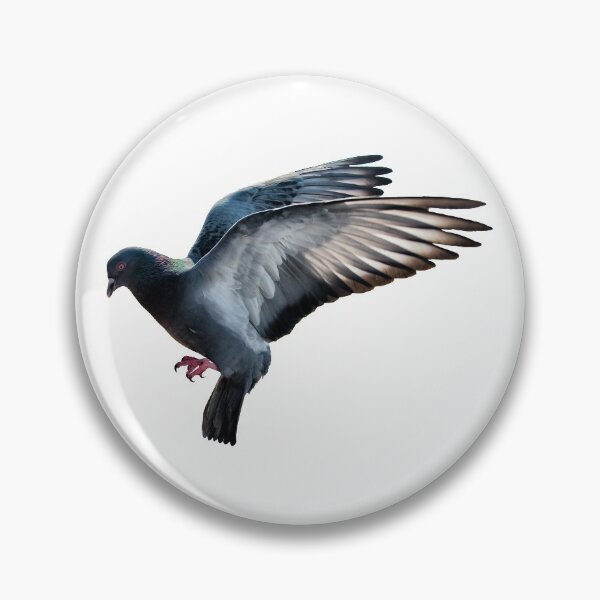 Item preview, Pigeon designed and sold by DoodleDashCollective.