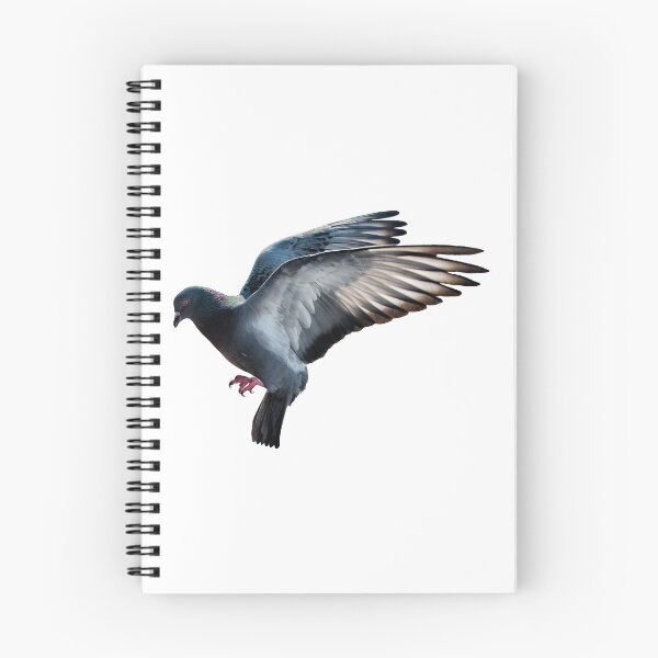 Item preview, Pigeon designed and sold by DoodleDashCollective.