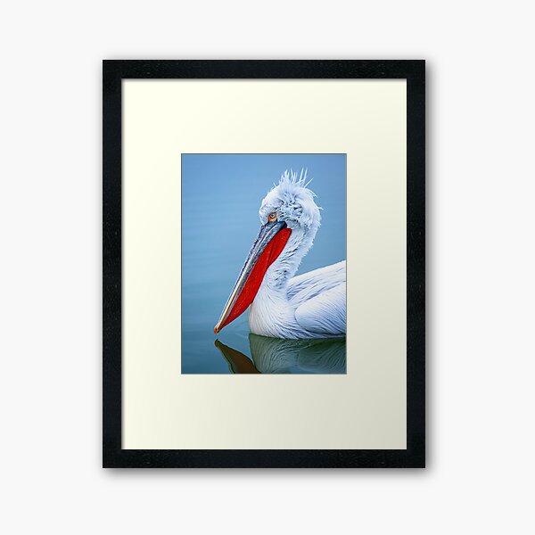 Item preview, White Pelican on Body of Water designed and sold by Creative19500.