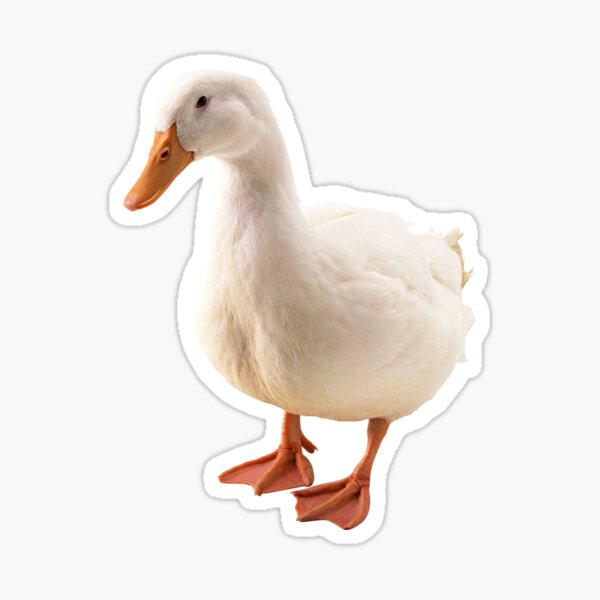 Item preview, White Duck designed and sold by DoodleDashCollective.