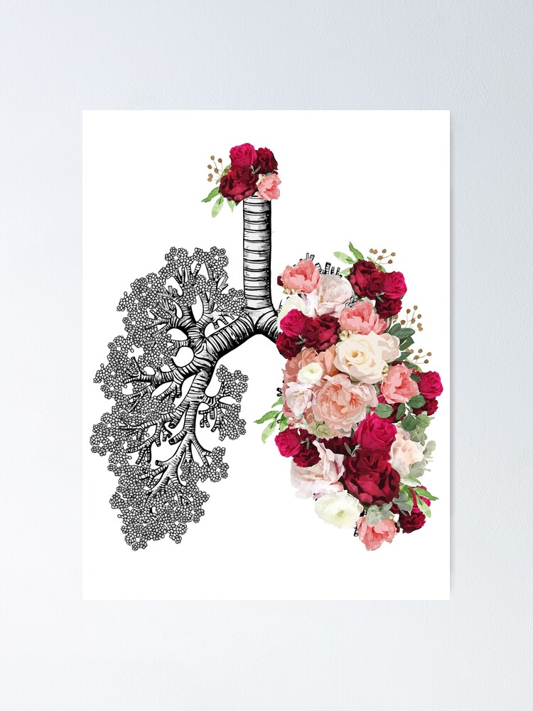 Póster «conciencia del cáncer de pulmones, florecer rosas oscuras florales,  anatomía, acuarela» de Collagedream | Redbubble