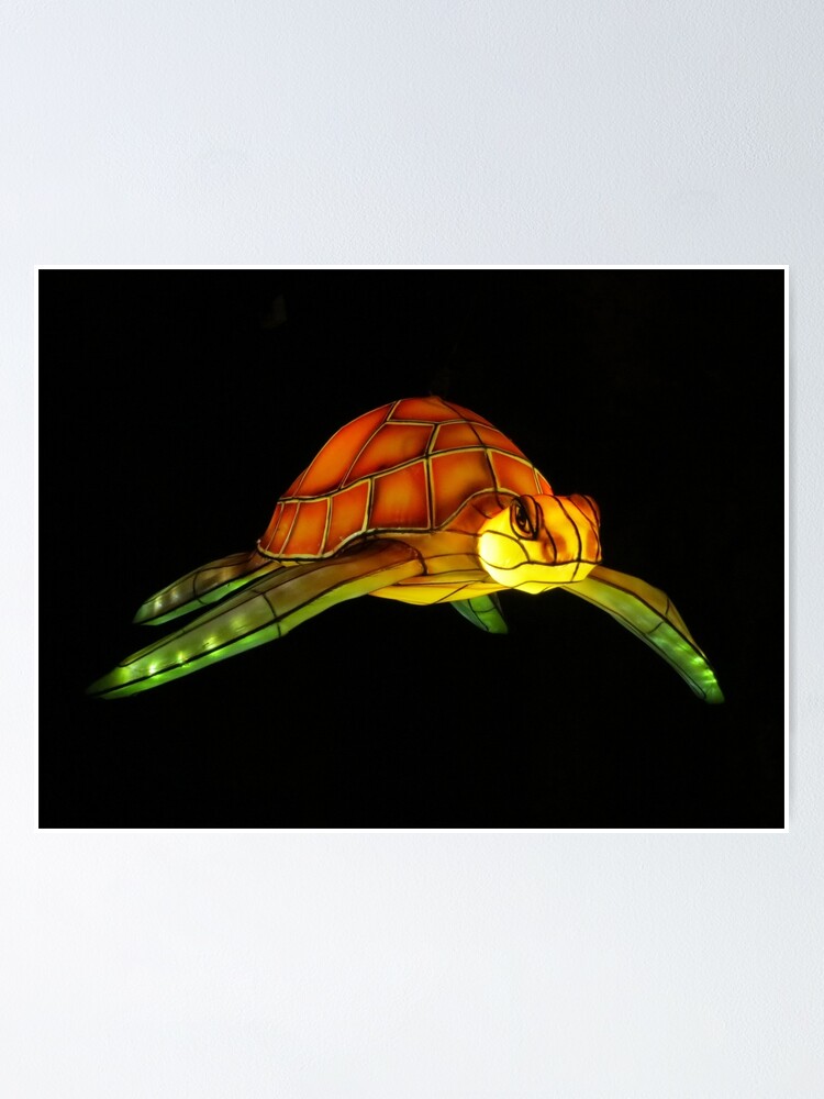 Thumbnail 1 of 3, Poster, Floating Turtle designed and sold by kostolany244.