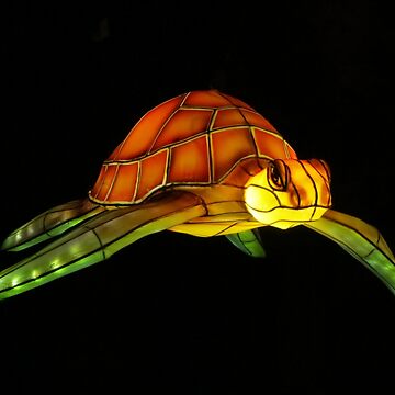 Artwork thumbnail, Floating Turtle by kostolany244