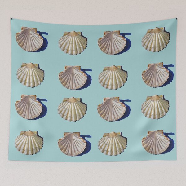Item preview, Saint James's scallops designed and sold by evafriese015.