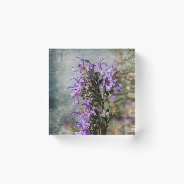 Item preview, Rosemary Flowers designed and sold by Marc Garrido Clotet.