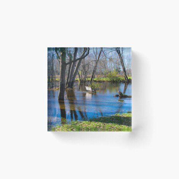 Item preview, Flooded park bench designed and sold by blb1014.