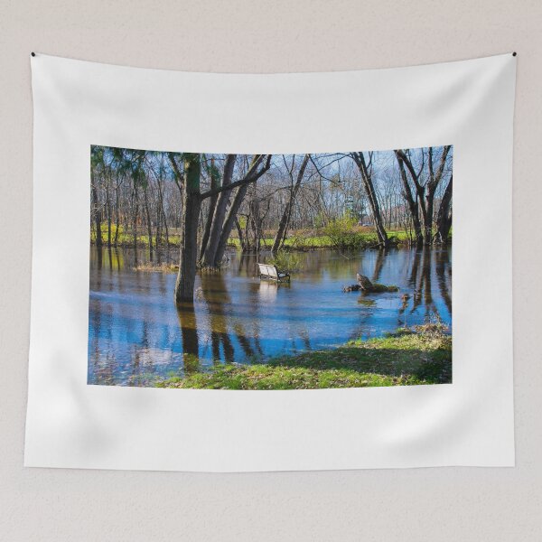 Item preview, Flooded park bench designed and sold by blb1014.