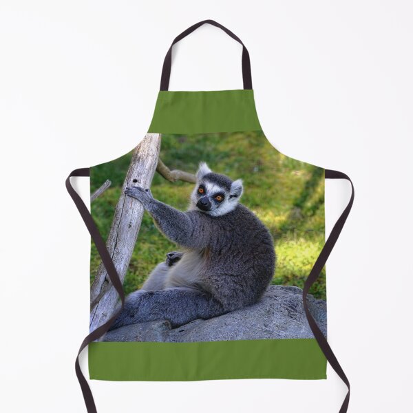 Artikelvorschau, Lenny der Lemur entworfen und verkauft von Lanis Rossi.