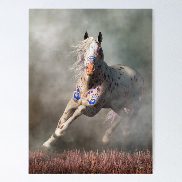 Appaloosa Horse Digital Download Print | Horse Photography | Horse Lover  Gift Ideas | Western Home Decor