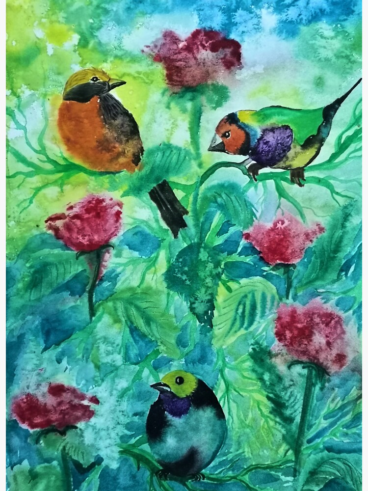 "Watercolor birds and flowers" Sticker for Sale by DECOJVM Redbubble