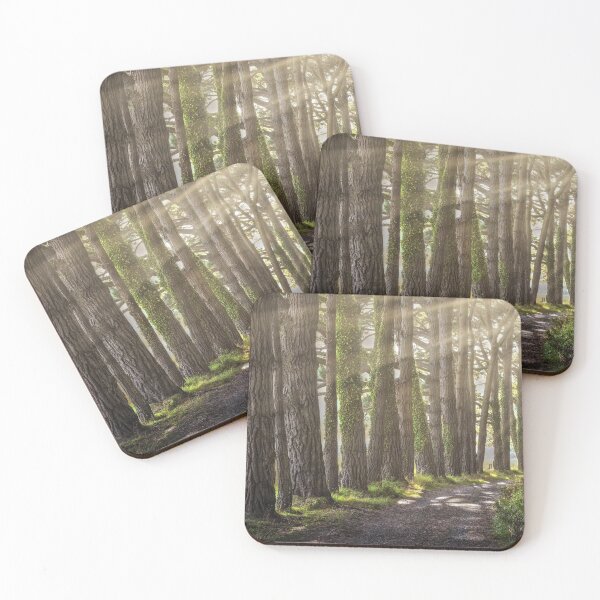 Item preview, Tree lined path at Whiteford designed and sold by Leighton Collins.
