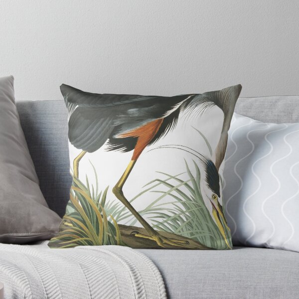 Item preview, Great blue Heron - John James Audubon designed and sold by billythekidtees.