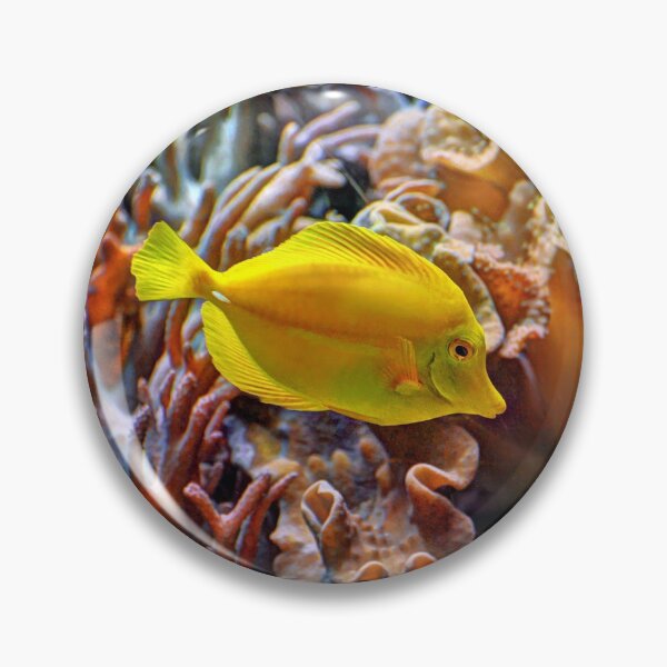 Item preview, Yellow Fish designed and sold by Savannah Gibbs.