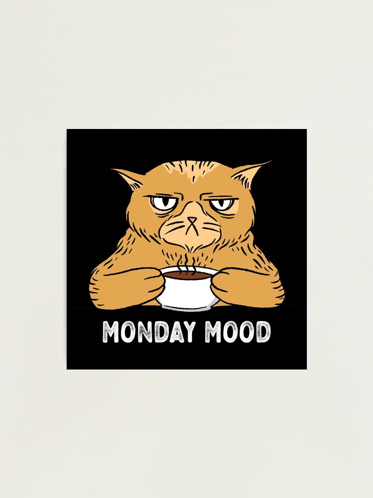 I Dont Like Morning People Funny Angry Cat Drink Coffee Meme Retro