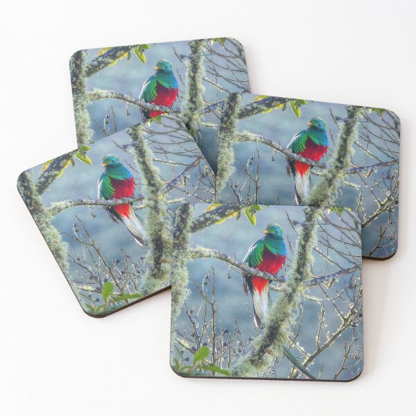 Item preview, The Resplendent Quetzal designed and sold by SACRED NATURE DESIGNS.