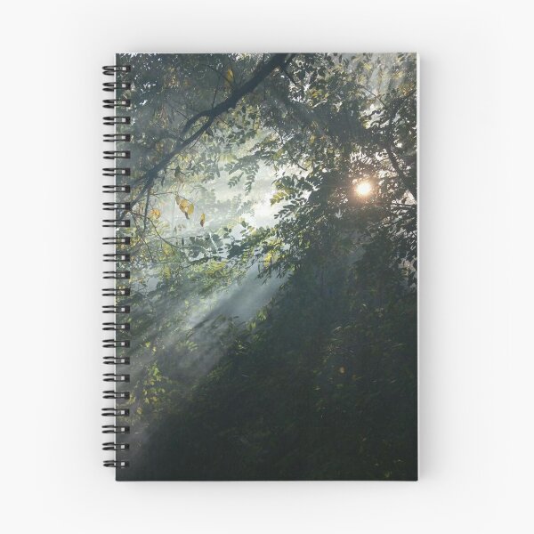 Item preview, Sunbeam Sunset in Forest designed and sold by Ankerd.