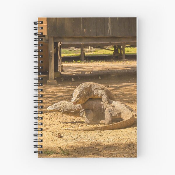 Item preview, Two Komodo dragons fighting at a village on Rinca Island, Indonesia designed and sold by SnapTPhotograph.