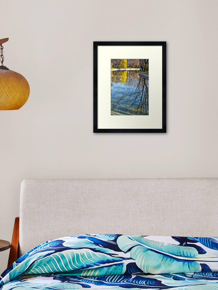 Natural Scene Trees Reflected In The Water Photograph Framed Art Print By Oanaunciuleanu Redbubble