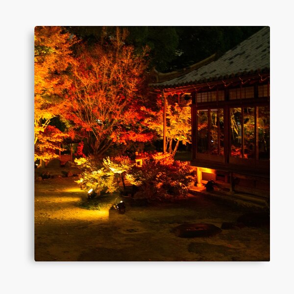 Photography - Japanese night fall Canvas Print