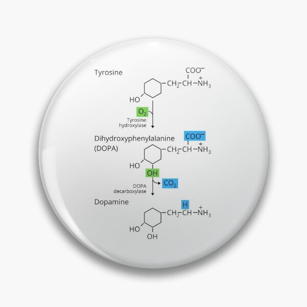 Item preview, The Biosynthetic Pathway of Dopamine designed and sold by jadedscientist.
