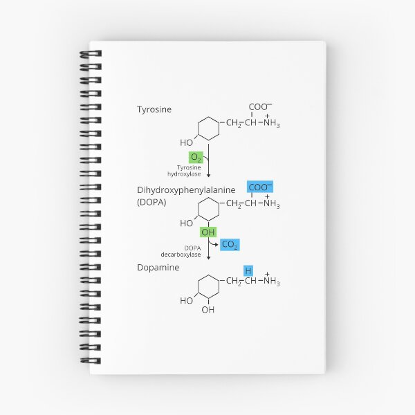 Item preview, The Biosynthetic Pathway of Dopamine designed and sold by jadedscientist.