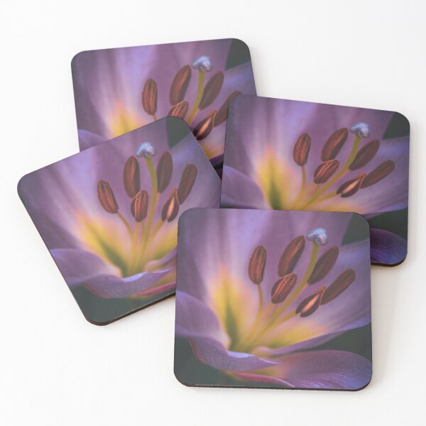Item preview, daylily designed and sold by alan shapiro.