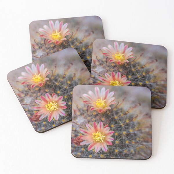 Item preview, Mammilaria bombycina designed and sold by alan shapiro.