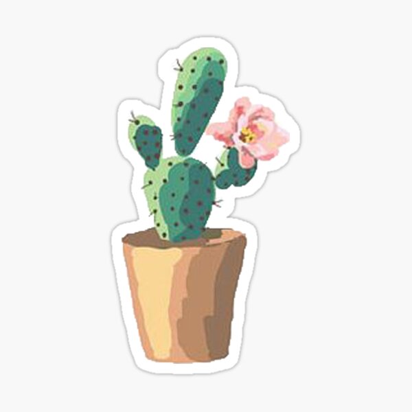 Cactus Stickers | Redbubble