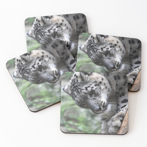 Item preview, Snow Leopard Stretching designed and sold by Epiphany27Photo.