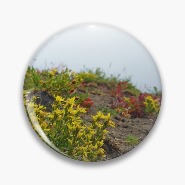 Item preview, Flowers at Crater Lake National Park designed and sold by Niki Murray.
