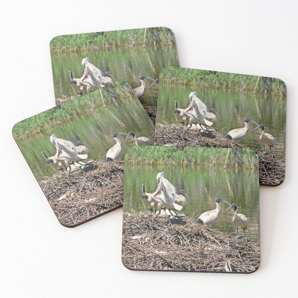 Item preview, Australian White Ibis ~ The Community Nest designed and sold by Robert Elliott.