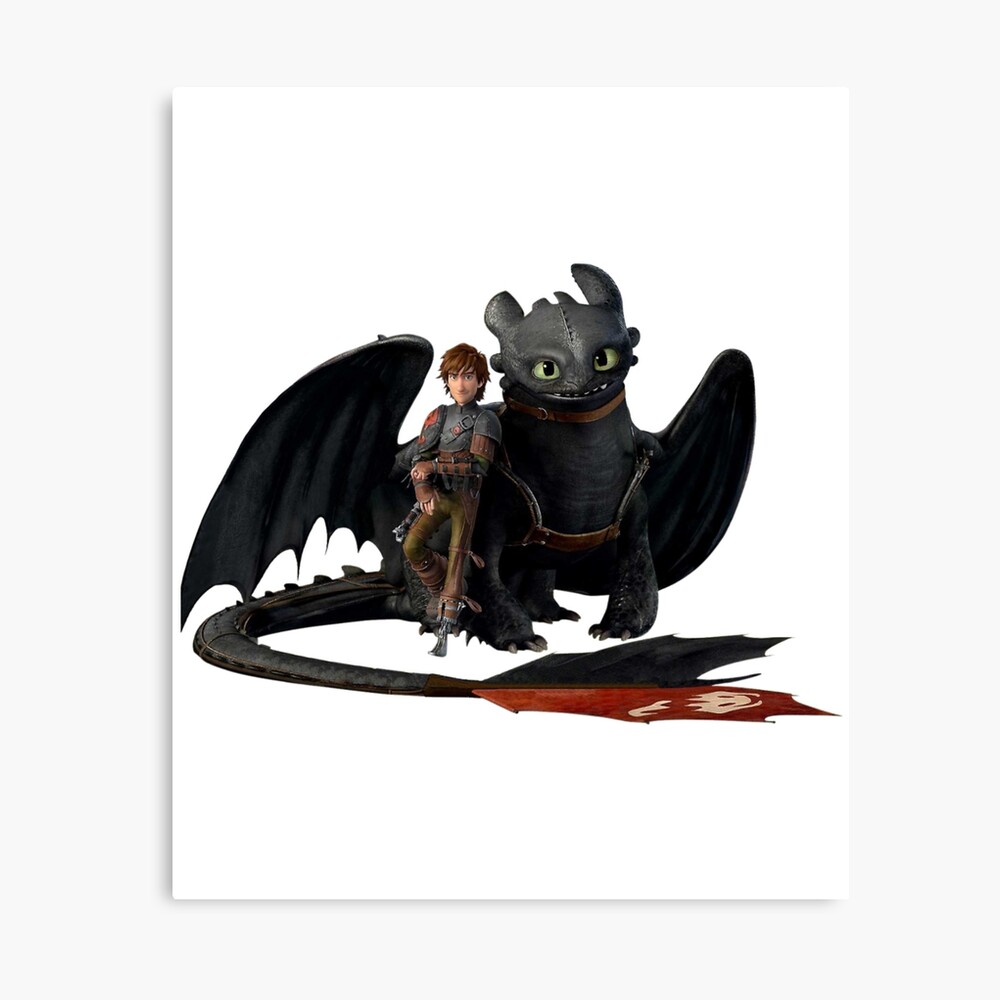 hiccup & toothless Photographic Print for Sale by Home-of-art