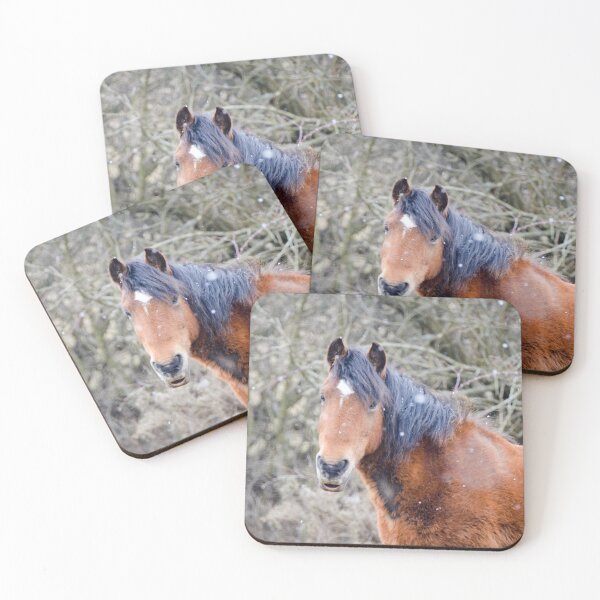 Item preview, Pony in the Snow designed and sold by Ksswaden.