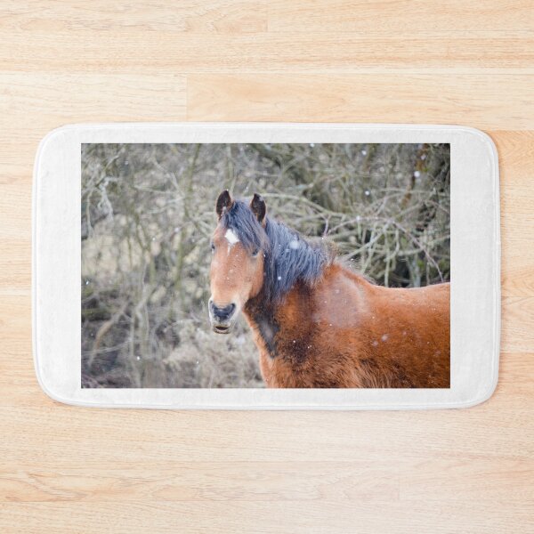 Item preview, Pony in the Snow designed and sold by Ksswaden.