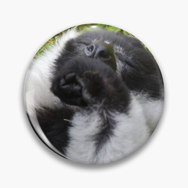 Item preview, Black & White ruffled Lemur Sleeping designed and sold by Ksswaden.