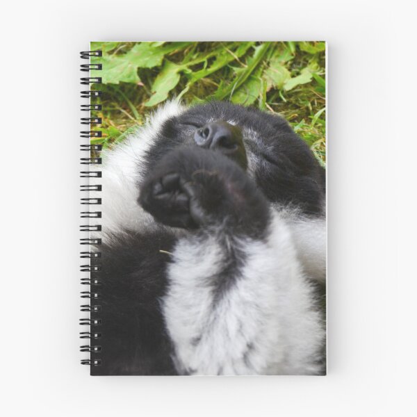 Item preview, Black & White ruffled Lemur Sleeping designed and sold by Ksswaden.