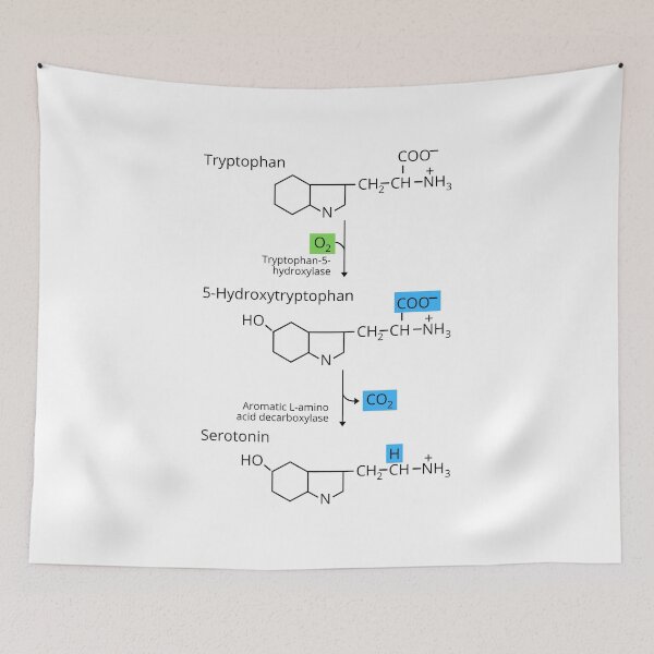 Item preview, The Synthesis of Serotonin designed and sold by jadedscientist.