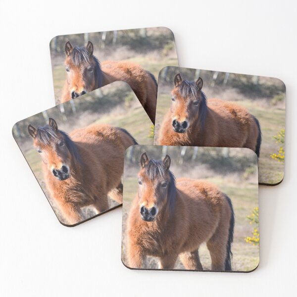 Item preview, Bay Pony New Forest designed and sold by Ksswaden.