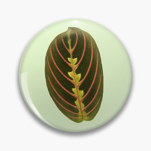 Item preview, red maranta prayer plant designed and sold by laceyyyann34.