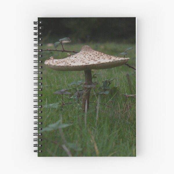 Item preview, Mushroom 1 designed and sold by GNHCreative.