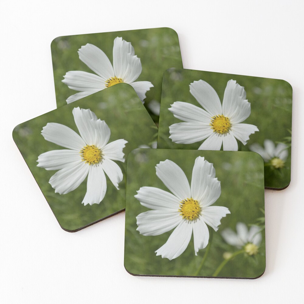 Item preview, Coasters (Set of 4) designed and sold by ViewTouristic.