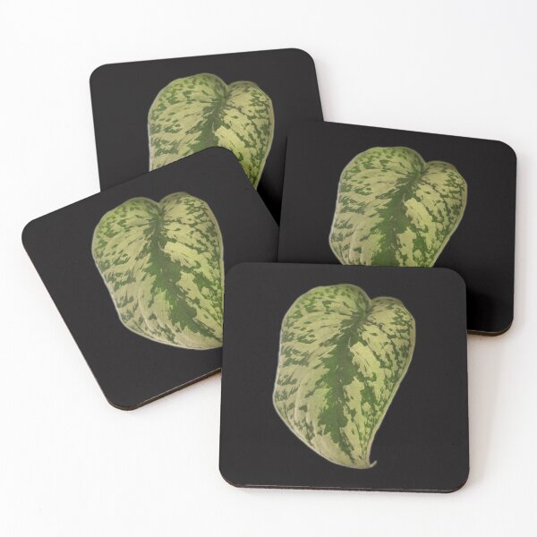 Item preview, scindapsus pictus exotica  designed and sold by laceyyyann34.